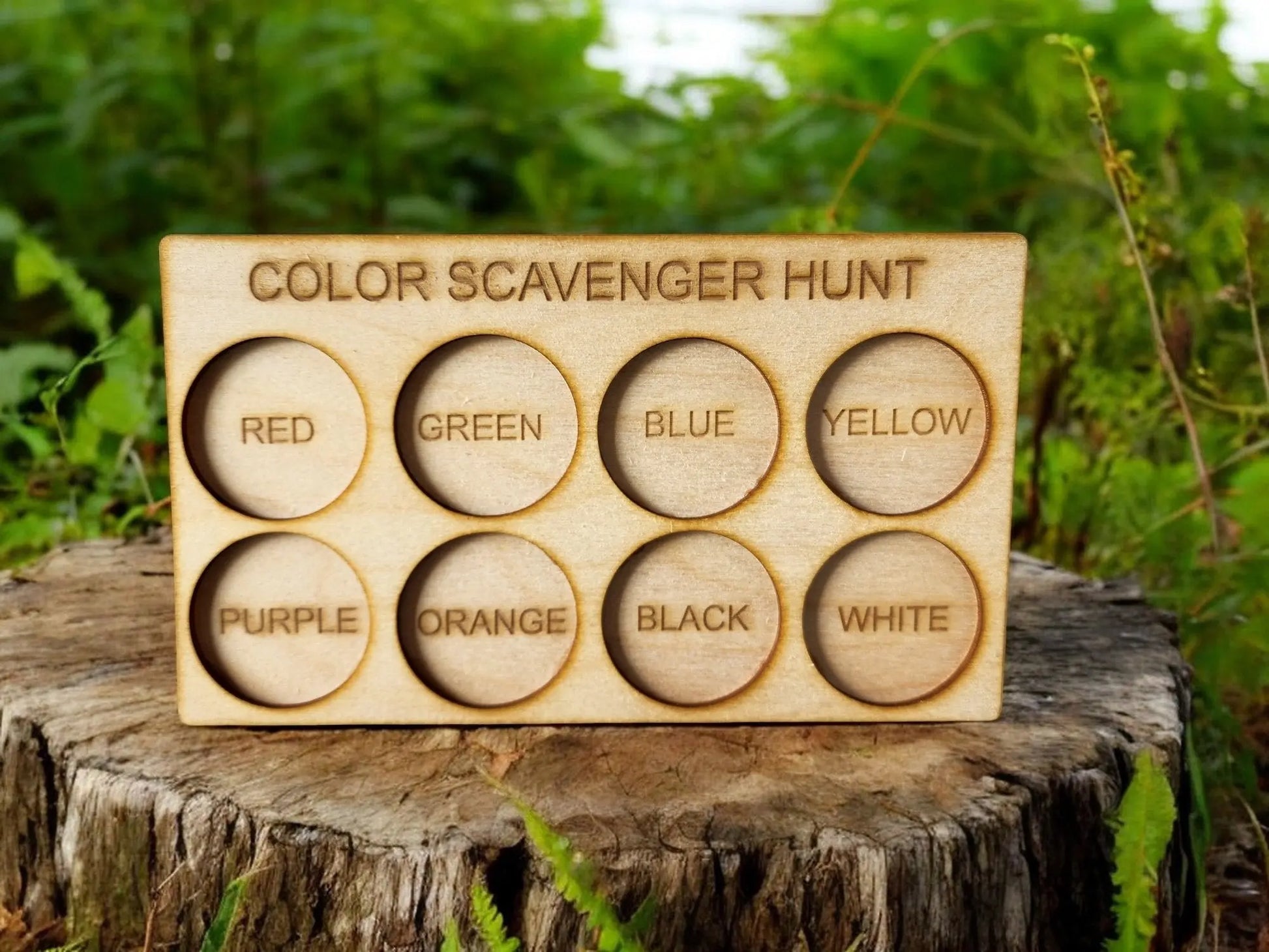 The Exciting Color Scavenger Hunt Game for Kids' Outdoor Fun by Mirabilia Boutique is an eco-friendly board set on a tree stump surrounded by lush greenery. This outdoor toy includes eight circular slots labeled with colors: red, green, blue, yellow, purple, orange, black, and white—ideal for a thrilling adventure in nature.